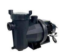 PISCINA SPA JARDÍN OCIO Pompe VPlus-Max 38771-P | Pompe pour piscine 0,75 cv monophasé 220 V/50 Hz, noir