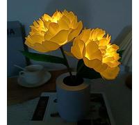 Pivoine Veilleuse Led Simulation Fleur Pot Lampe Faux Fleur Lampe De Table Ornements Fleur Artificielle Lampe De Chevet For Cadeaux D'anniversaire, Fête Des Mères ( Color : 2-head/Rechargeable )