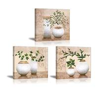 Piy Painting Élégante Décoration Murale, Plants in Vase Peintures pour Chambre à Coucher, avec cadre intérieur, 3 pièces 30x30cm