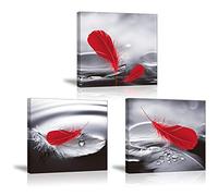 Piy Painting Tableau en Toile, Plumes Rouges Image, Moderne Tableau Decoration Murale, Impression sur Toile Decoration Murale De Salle De Bain pour Cadeau d'anniversaire 30x30cm, Lot de 3
