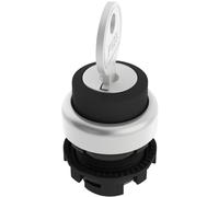 Pizzato Elettrica E21SC2DVA19AA E21SC2DVA19AA Commutateur à clé noir 1 x 90 ° 1 pc(s)