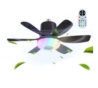 Plafonnier avec ventilateur de plafond avec haut-parleur musical à économie