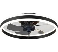 Plafonnier avec ventilateur, modes réversibles, télécommande, noir, APP avec RC dimmable