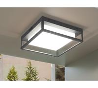 Lampe de façade plafond pour l'extérieur WITHAM anthracite Trio 677860142