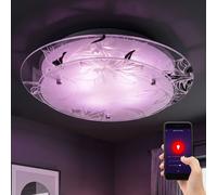 Plafonnier intelligent plafonnier rond contrôle par application lampe de cuisine verre salon lumière chrome, motif floral, CCT, RGB LED 8,5W 806Lm, DxH 25x9,5 cm