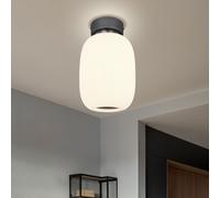 Plafonnier plafonnier salon lumière chambre lampe cuisine lumière ovale, métal verre graphite nickel, 1x LED 21W 1237Lm 3000K blanc chaud, H 32,5 cm