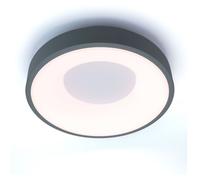 Plafonnier LED ALPINALUZ Circulaire Ø30 cm 28W 3500lm Gris - CCT