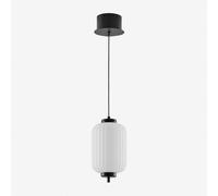 Plafonnier Led En Fer Et Avec 1 Boule En Verre Necsar Noir B Noir