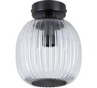 Paulmann Ruya plafonnier 1x20 W noir 71145