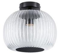 Paulmann Ruya plafonnier 1x60 W noir 71146