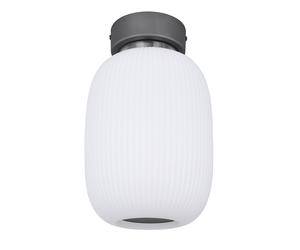 Plafonnier plafonnier salon lumière chambre lampe cuisine lumière ovale, métal verre graphite nickel, 1x LED 21W 1237Lm 3000K blanc chaud, H 32,5 cm