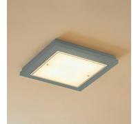 Plafonnier Tally Argon, vert, Couloir, Bois, Plafonnier