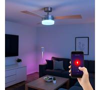 Plafonnier Ventilateur Refroidisseur D'Ambiance Télécommande App Google Smart