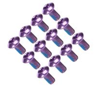 PLAFOPE Vis de Vélo en Acier Titane M5x10 Mm, Lot de 12 Pièces | Rotors 6 Trous et Bicyclettes, Finition Pourpre, Usage Bmx et Vélos Neufs ou Anciens
