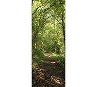 PLAGE Papier Peint Intissé Photo Nature Forêt Chemin Promenade Panoramique 250 cm X 96 cm pour Décoration Murale