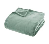 Plaid en Flanelle Uni Ollis 180x230cm Vert Céladon
