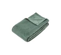 Plaid microfibre Kiesa Créateur d'intérieur Polyester 180x260cm Vert Tilleul