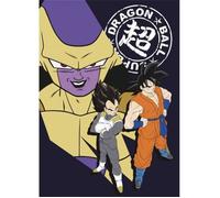 Plaid polaire - DRAGON BALL Z - DRAGON BALL Z - 100 x 140 cm - 100% polyester 180 g/m² - Anti-peluche