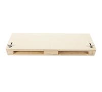 Planche à Ailes D'insectes Réglable en Pvc, Bois et Métal | Outil D'expérimentation et Insectes, Léger, Maintient à Plat, Usage Éducatif
