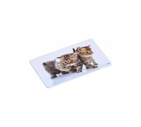 Planche à découper en mélamine - Motifs chats - Ustensiles de découpe