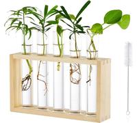 Planche de table en verre Planteur 5 tubes à essai Vase Hydroponique Bureau Home Decoration