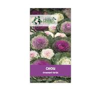 Planète graines - sachet de 40 graines chou ornement varié -fleur