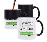 Planetee Mug magique thermoréactif Meilleure Directrice de tous les temps | tasse change couleur chaleur idée cadeau travail collègue départ retraite anniversaire Noël femme