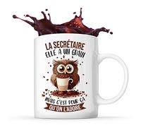 Planetee Tasse La Secrétaire Chouette Café | Idée Mug Cadeau Travail Métier Humour Collègue Femme Anniversaire Noël