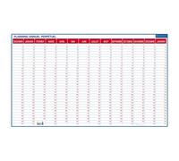 Planning perpétuel annuel - Effaçable à sec - 60 x 99 cm
