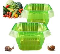 Plant Protection Cover - Gardening Dome Shield 22 x 12,5 x 13 cm, Snail Collar Barrier | 20 pièces Seedling Guard Kit, Vegetable Flower Salad Defender Support Planting Growth Nursery Yard Orchard