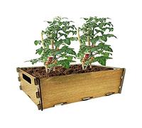 PLANTAWA Kit de Plantation pour tomates, kit de Culture pour Potager Urbain, jardinière intérieure pour Maison, kit de Culture de Plantes Naturelles tomates fraîches