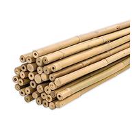 PLANTAWA - Tuteurs en Bambou 90 cm Lot de 25 pièces Ø 10-12 mm | Support Pour Plantes, Légumes, Tomates et Plants de Tomates | Tuteur Pour Plante Faciles à installer - Tiges de Bambou Robustes