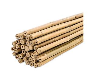PLANTAWA - Tuteurs en Bambou 90 cm Lot de 25 pièces Ø 10-12 mm | Support Pour Plantes, Légumes, Tomates et Plants de Tomates | Tuteur Pour Plante Faciles à installer - Tiges de Bambou Robustes