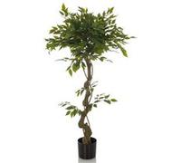 FICUS I - Plante artificielle Vert
