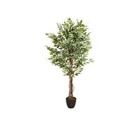 FICUS - Plante artificielle Vert