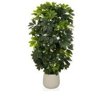 Schefflera 2 - Plante artificielle Vert/Blanc
