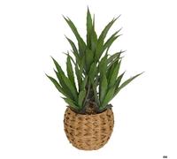 Agave artificiel Moda H.61cm vert - Atmosphera Créateur d'intérieur