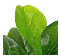 Plante artificielle avec pot - 90 cm de haut - Plante artificielle verte en plastique - Facile d'entretien - Pour salon, bureau, balcon, décoration intérieure et extérieure