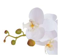 Plante artificielle avec pot - COCO -(1 pc）- détails parfaits - pour jardin/maison - Blanc 839kne13w