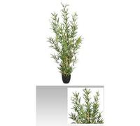 Plante artificielle Bambou en POLYESTER + FER + BAMBOU + POLYETHYL - Dim : H 120 cm --