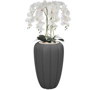 Blanc Orchidée artificielle Bouquet de fleurs en cascade en pot anthracite, env. 112 cm de haut, fleurs caoutchoutées, 5 pousses Décoration bureau à domicile