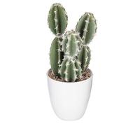 Plante Artificielle Cactus en Pot H 18 cm - Atmosphera