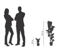 Plante artificielle 'caoutchouc', hauteur: 360 mm