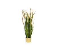 CORTADERIA I - Plante artificielle Beige/Vert