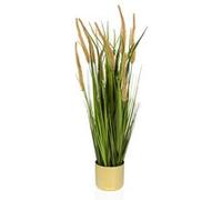 CORTADERIA I - Plante artificielle Beige/Vert