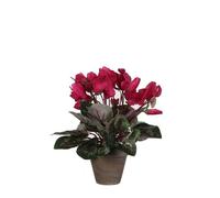 Plante artificielle cyclamen en pot ciment - H30 x Ø30 cm - Rose foncé - Mica Decorations