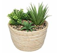 Plante artificielle d'intérieur - Beige