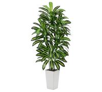 Plante Artificielle Dracaena Intérieur 150cm Arbre Artificiel Dracaena Faux Arbre en Soie avec Jardinière Blanche Faux Tropical Yucca Floor Plant pour Bureau à Domicile Décorati (1, Blanc, 150cm)