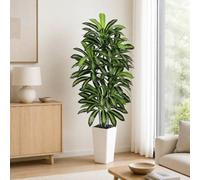 Plante Artificielle Dracaena Intérieur 180cm Arbre Artificiel Dracaena Faux Arbre en Soie avec Jardinière Blanche Faux Tropical Yucca Floor Plant pour Bureau à Domicile Décorati (1, Blanc, 180cm)