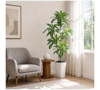 Plante d'intérieur artificielle Yucca tropicale, salon, bureau, jardin, résistante aux UV, blanche, 180 cm